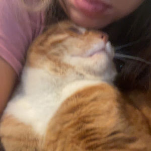 Meet your Posher, Abbey